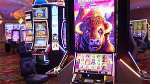 79a bet